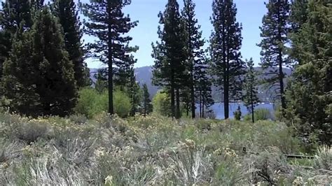 Feb 26, 2021 · i really like that the cooler is a igbc certified bear resistant container. Serrano Campground - Big Bear, CA - YouTube
