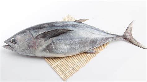 Uno de los principales problemas del consumo de estos pescados intoxicados es que la histamina es resistente al calor, por lo que soporta los procesos térmicos propios del cocinado. 14 recetas de atún fresco muy fáciles de preparar - Cocina ...