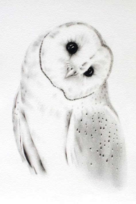 460 Owl Sketches Ideas Owl Sketch Owl Owls Drawing