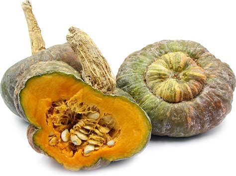 Buttercup squash is typical in gardening for its variety of uses, which include roasting, blending into soups, and fillings (similar to pumpkin). Green Buttercup Squash Information, Recipes and Facts