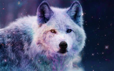 Search free galaxy wolf wallpapers on zedge and personalize your phone to suit you. 46+ Galaxy Wolf Wallpaper on WallpaperSafari