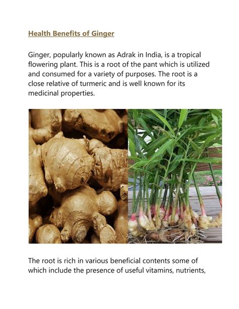Health Benefits Of Ginger Nutrition Facts Of Adrak By Medsindia Issuu