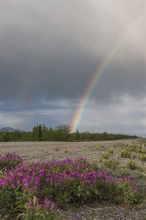 Hd Wallpaper Canada Yukon Territory Beauty In Nature Scenics