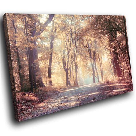 Sc636 Autumn Misty Forest Road Scenic Wall Art Picture Large Canvas