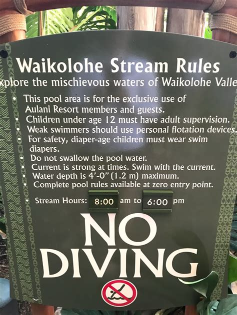 Waikolohe Stream Aloha Aulani