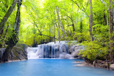 Waterfall River Waterfall Emerald Forest Landscape