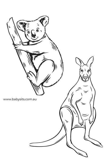 Australian Animals Coloring Sheets Australian Animals Australia For