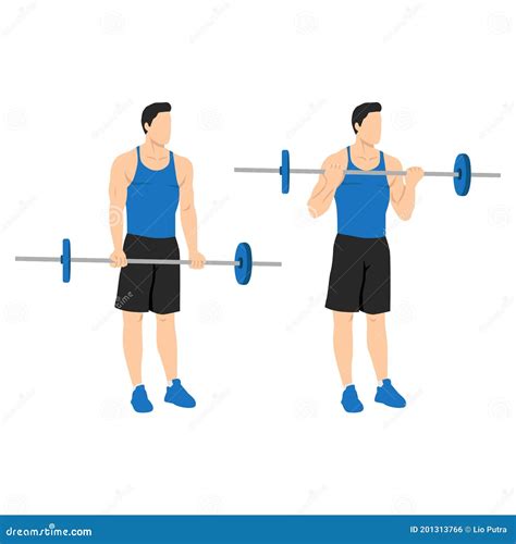 Man Doing Barbell Curls Exercise Standing Bicep Curlarm Workout Stock