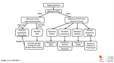 Diagnostic Algorithm For The Workup Of Hypercalcemia Grepmed