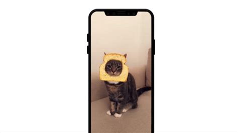 Snapchat Now Offers Photo Filters For Your Cat Tech News