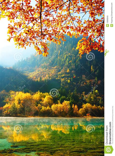 Autumn Tree And Lake In Jiuzhaigou Stock Image Image Of Environment
