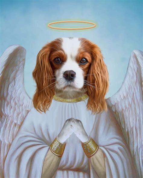 What Is An Angel Dog