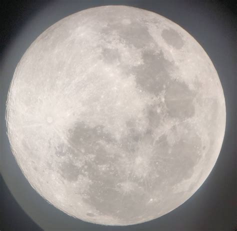 Growth is bursting forth as april arrives not the pink moon arrives in time for flowers, and as the bees buzz around your garden looking for. Super Pink Moon