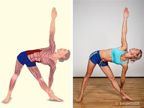 These Pictures Will Show Which Muscles You Stretch Muscle