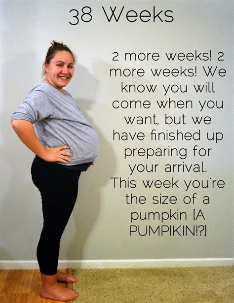 Bumpdate 38 Weeks Pregnant Well Planned Paper Pregnancy