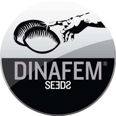 Dinafem Feminised Cannabis Seeds Are Available To Buy At Hempology