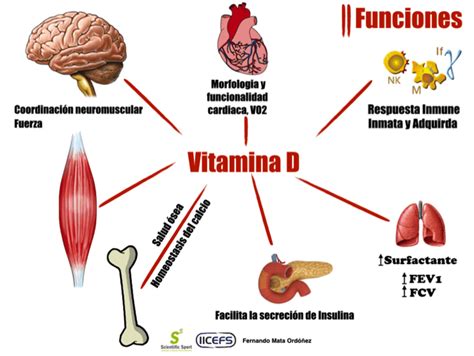 Beneficios De La Vitamina D3 En El Hombre Estos Beneficios