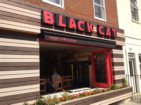 Black cat was established to. Black Cat Cafe | Cat cafe, Cafe, Vegan cafe