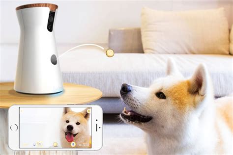 Furbo Dog Camera | Time 4 Gadget