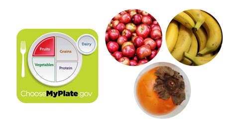 All About Myplate Youtube