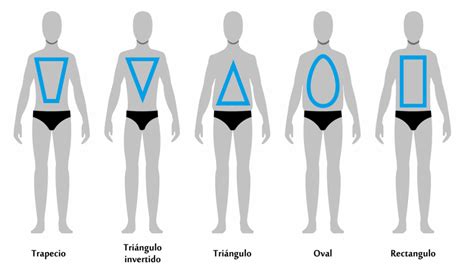 5 Tipos De Cuerpo Masculino Según Su Tipología Tipos De Cuerpo Tipos