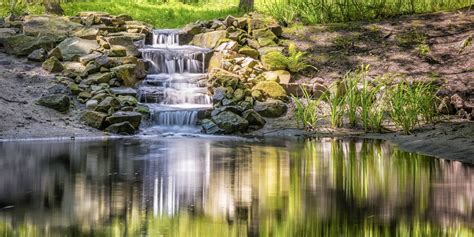 Photos, address, and phone number, opening hours, photos, and user reviews on yandex.maps. Natural Swimming Pools vs. Swimming Ponds Infographic