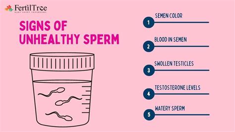 Top Signs Of Unhealthy Sperm What To Do Next Fertiltree
