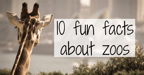 Life As Kim 10 Fun Facts About Zoos Day 26 Of Blogtober17