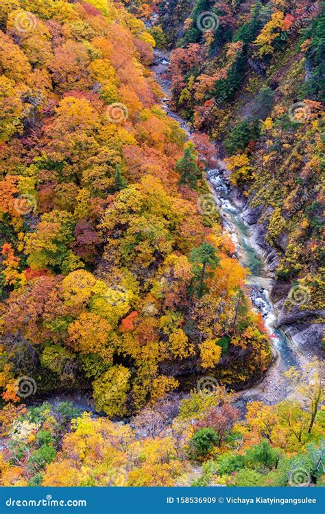 Aerial View Of Autumn Fall River Landscape Stock Image Image Of