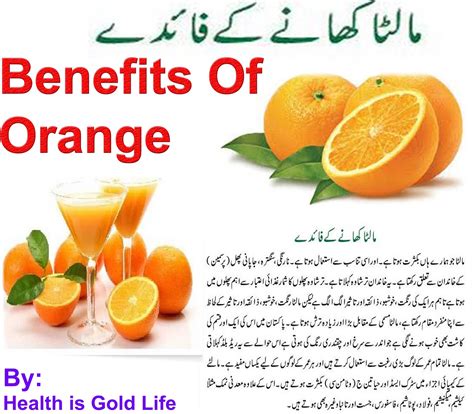 Benefits Of Orange For Health In Urdu Goldlife