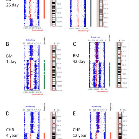 A Comparison Of Array Cgh And Snp Array Results For Chromosome 20 From