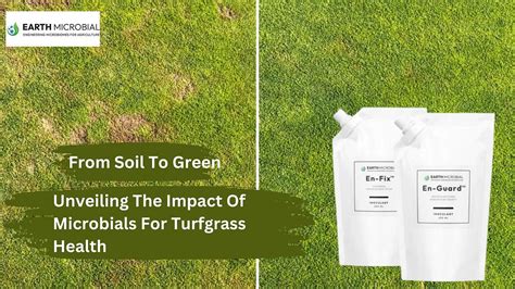 From Soil To Green Unveiling The Impact Of Microbials For Turfgrass