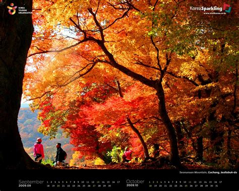Korea Fall Wallpapers Top Free Korea Fall Backgrounds Wallpaperaccess