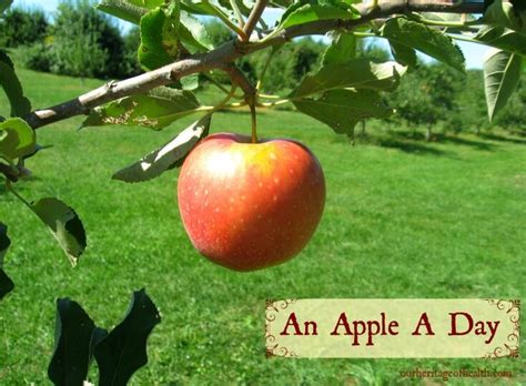 An Apple A Day Our Heritage Of Health