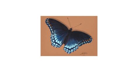 Red Spotted Purple Admiral Butterfly Painting Canvas Print Zazzle