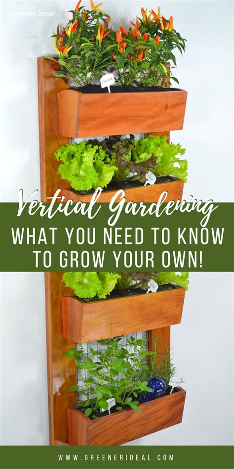 Vertical Gardening Can Help Cleaning The Air Without Taking Up Any