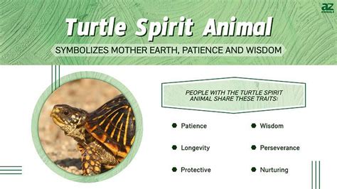 Turtle Spirit Animal Symbolism And Meaning A Z Animals