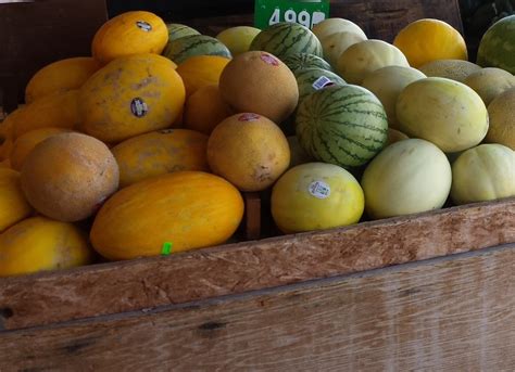 Summer Melon Varieties - Dan the Produce Man
