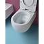 Rimless Toilets Hygiene And Design