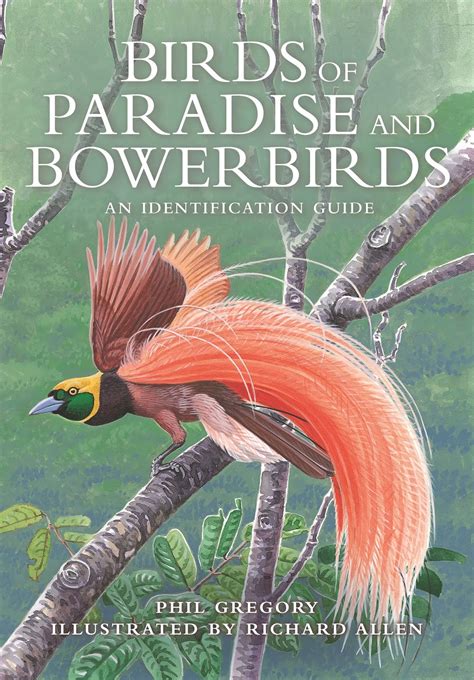 Book Review Birds Of Paradise And Bowerbirds An Identification