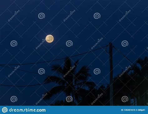 Gorgeous Moon Captured Prior To Sunrise Stock Image Image Of Moon