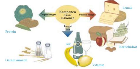 Check spelling or type a new query. Pengertian, Manfaat dan Fungsi Karbohidrat, Protein, Lemak ...