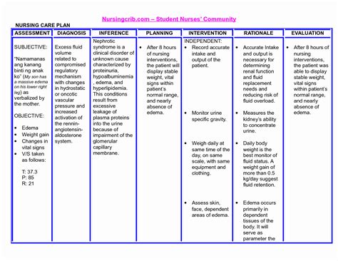 30 Nursing Care Plan Example Document Template