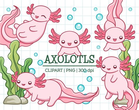 Axolotl Clipart Cute Kawaii Axolotl Set Cartoon Vector