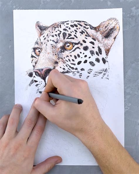 Fine Details With Fineliners Artanddrawing Generating This Jungle Cat