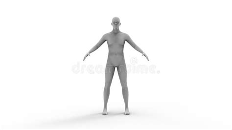 3d Rendering Of A Human Model Isolated In White Background Stock