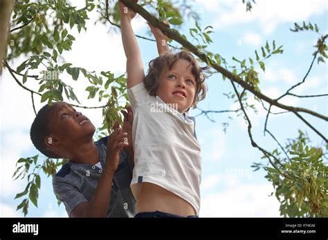 Two Kids On A Tree Climbing And Helping Each Other Stock Photo Royalty
