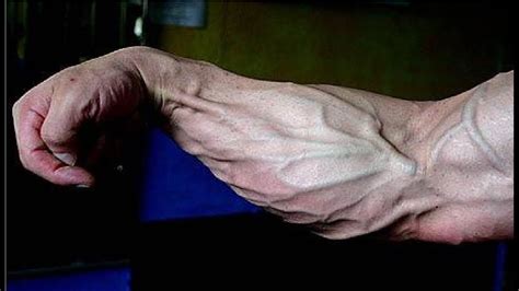 How To Get Veiny Arms In 5 Minutes How To Get Your Veins To Show All