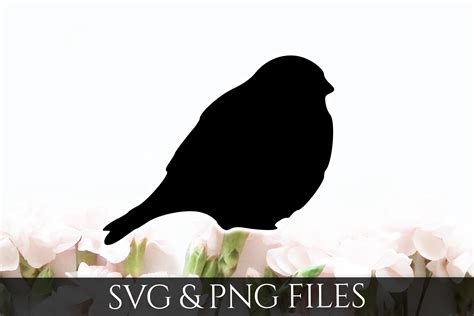 Bird SVG & PNG File (82138) | SVGs | Design Bundles
