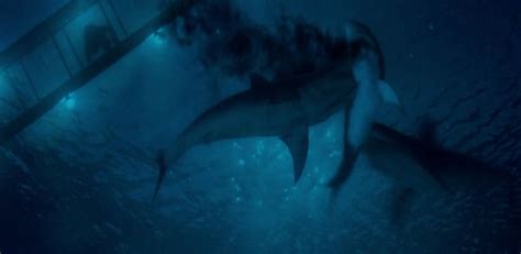 Small Twin Sharks Deep Blue Sea Wiki Fandom